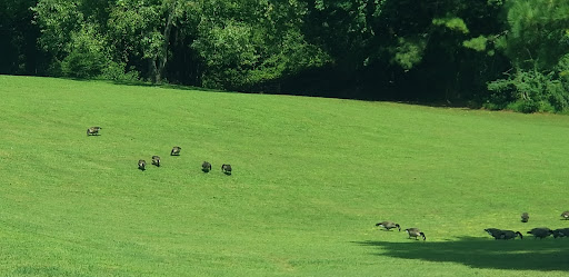 Golf Course «Bur-Mil Park Golf Course», reviews and photos, 5834 Bur-Mill Club Rd, Greensboro, NC 27410, USA