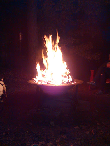 Golf Club «Bedford Hills Golf Club», reviews and photos, 6400 Jackman Rd, Temperance, MI 48182, USA