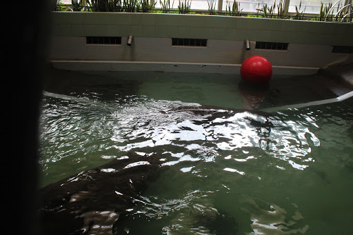 Zoo «Cheyenne Mountain Zoo», reviews and photos, 4250 Cheyenne Mountain Zoo Rd, Colorado Springs, CO 80906, USA