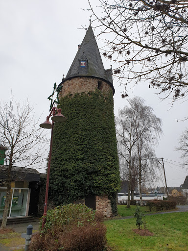 Veterinary practice Bettina Rückert Schneider unter Dierdorf, 
