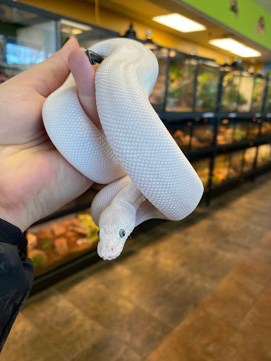 Pet Supply Store «House of Pets Inc», reviews and photos, 29500 Ford Rd, Garden City, MI 48135, USA