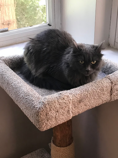 Pet Supply Store «Mud Bay», reviews and photos, 2540 NW 188th Ave, Hillsboro, OR 97124, USA