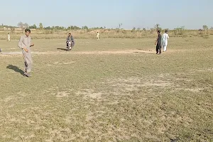 Hamad Cricket ground image