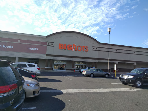 Big Lots, 15501 Bustleton Ave, Philadelphia, PA 19116, USA, 