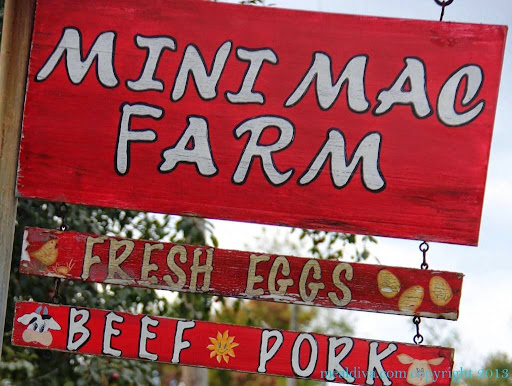 Farm «Mini Mac Farm», reviews and photos, 273 Pleasant Grove Rd, Long Valley, NJ 07853, USA