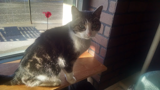 Pet Supply Store «Pet Supplies Plus», reviews and photos, 2057 S Telegraph Rd, Bloomfield Hills, MI 48302, USA