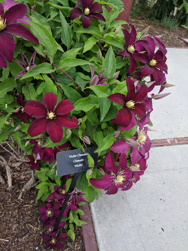 Botanical Garden «Conservation Garden Park», reviews and photos, 8275 1300 W, West Jordan, UT 84088, USA