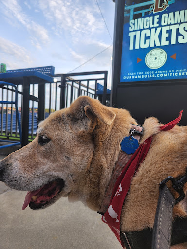 Stadium «Durham Bulls Athletic Park», reviews and photos, 409 Blackwell St, Durham, NC 27701, USA