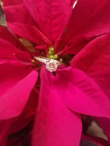 Jewelry Store «Bookman & Son Fine Jewelry», reviews and photos, 8803 Brecksville Rd, Brecksville, OH 44141, USA