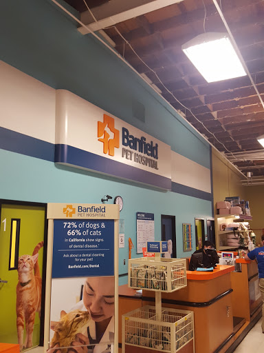 Pet Supply Store «PetSmart», reviews and photos, 3520 S El Camino Real, San Mateo, CA 94403, USA