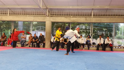 Clases hapkido Cali