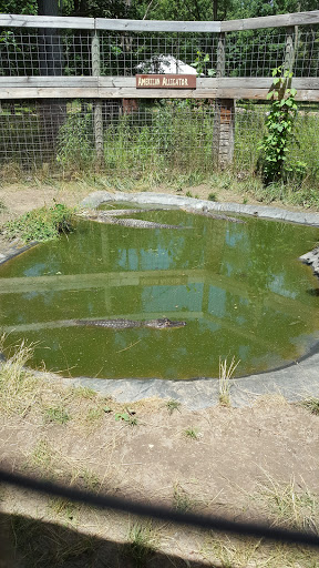 Zoo «Wilderness Trails Zoo», reviews and photos, 11721 Gera Rd, Birch Run, MI 48415, USA