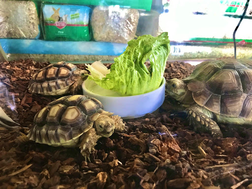 Pet Supply Store «E & M Pet Shop», reviews and photos, 5900 Whittier Blvd, Los Angeles, CA 90022, USA