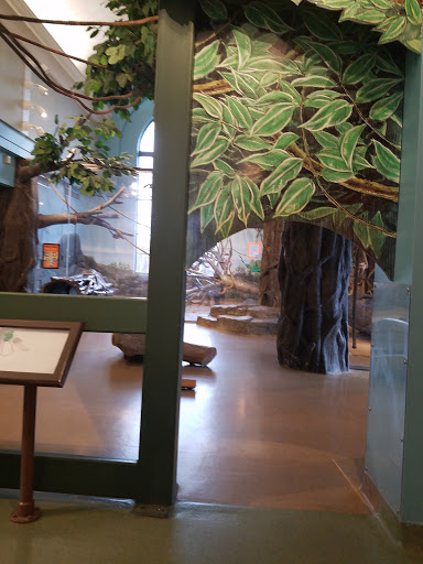 Zoo «Hamill Family Play Zoo», reviews and photos, 3300 Golf Rd, Brookfield, IL 60513, USA