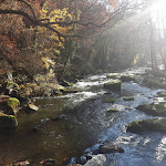 Photo n° 8 de l'avis de lemonnierful. fait le 03/02/2019 à 21:29 pour Gorges de Saint-Aubert à Putanges-le-Lac