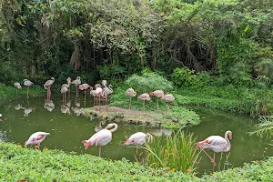 Taipei Zoo Formosan Animal Area image