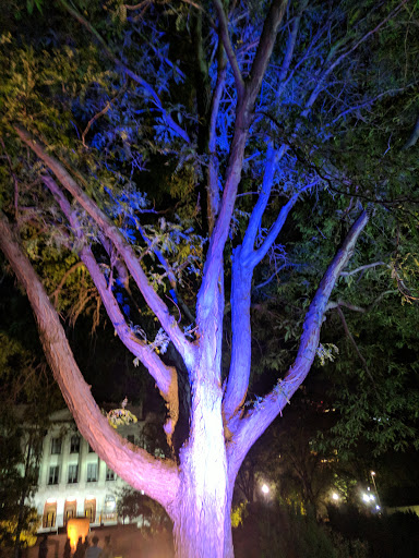 Art Museum «Joslyn Art Museum», reviews and photos, 2200 Dodge St, Omaha, NE 68102, USA