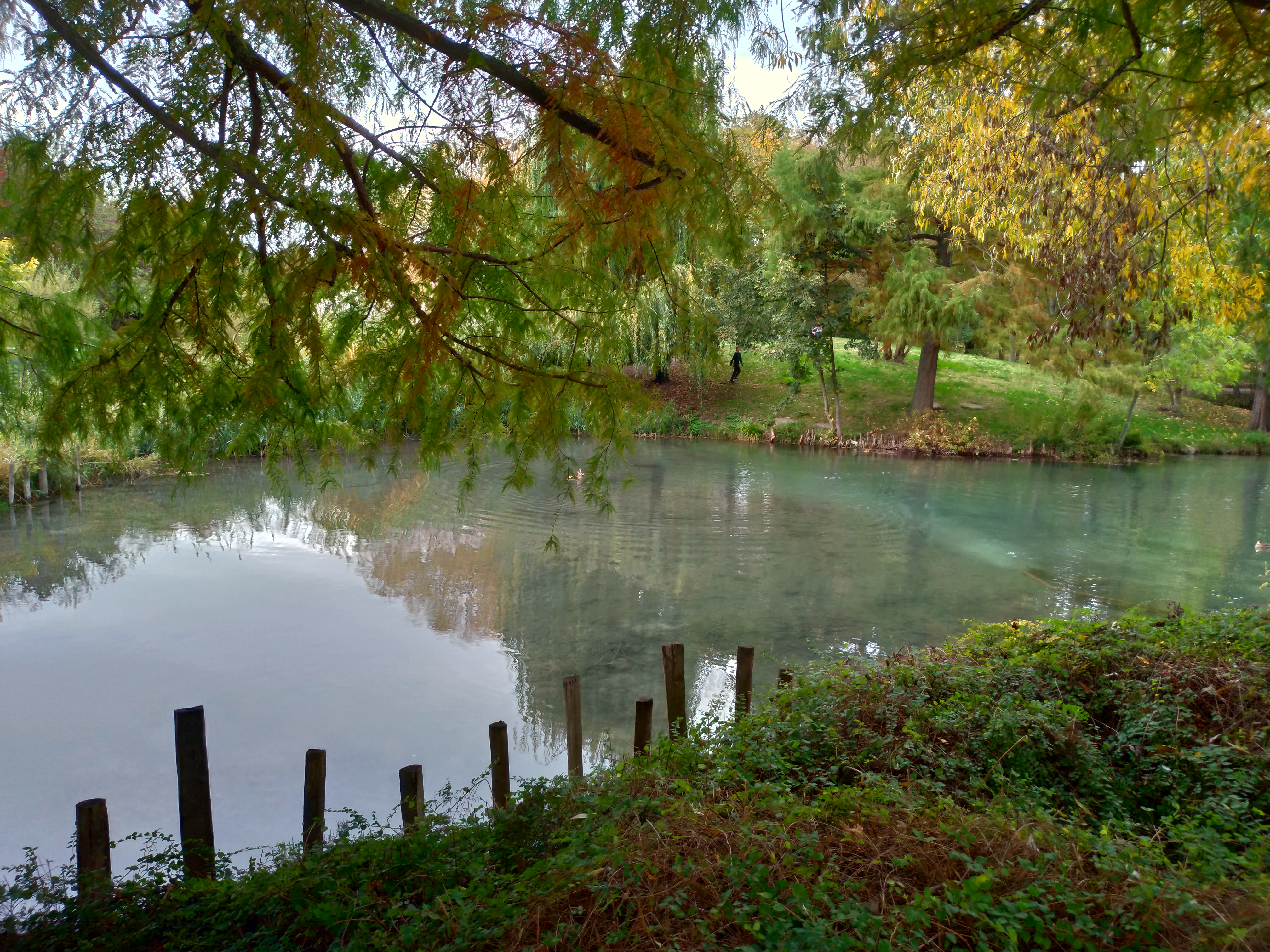 Photo n° 19 de l'avis de Benjamin.e fait le 22/10/2020 à 20:16