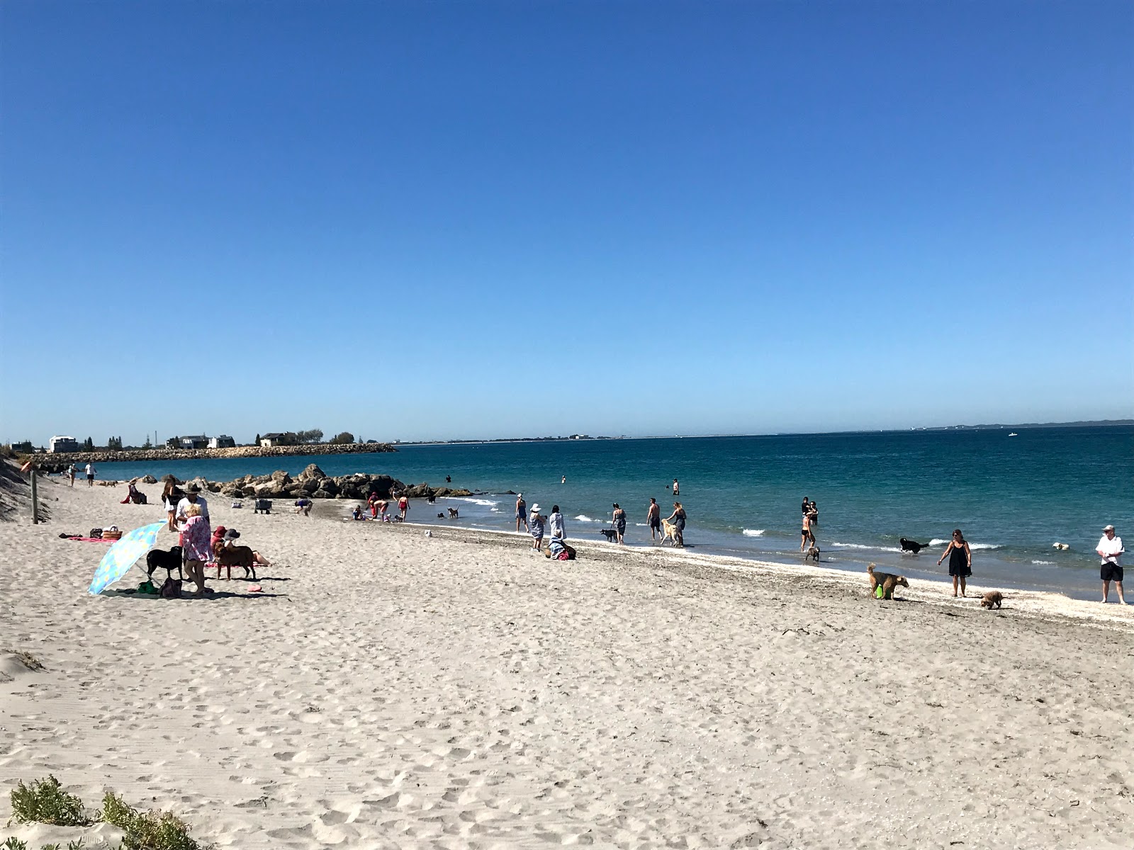 CyoConnor Beach photo #8
