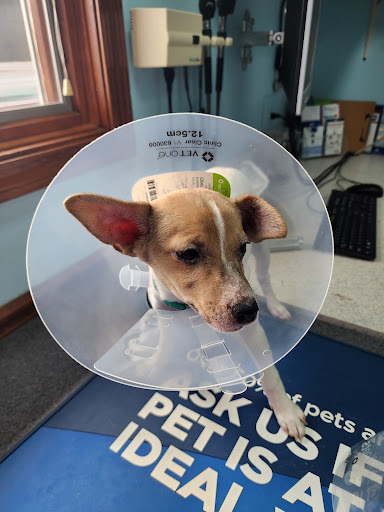 Silver Lake Animal Health Center image