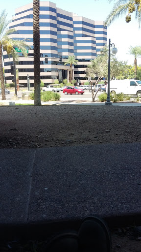 Restaurant «The Cheesecake Factory», reviews and photos, 2402 East Camelback, Phoenix, AZ 85016, USA