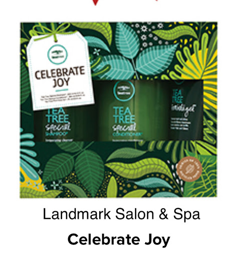 Beauty Salon «Landmark Salon & Spa», reviews and photos, 255 I-35BL, New Braunfels, TX 78130, USA