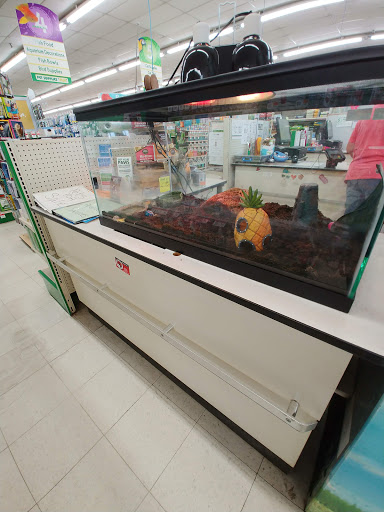 Pet Supply Store «Pet Supplies Plus», reviews and photos, 1433 E Main St, Owosso, MI 48867, USA