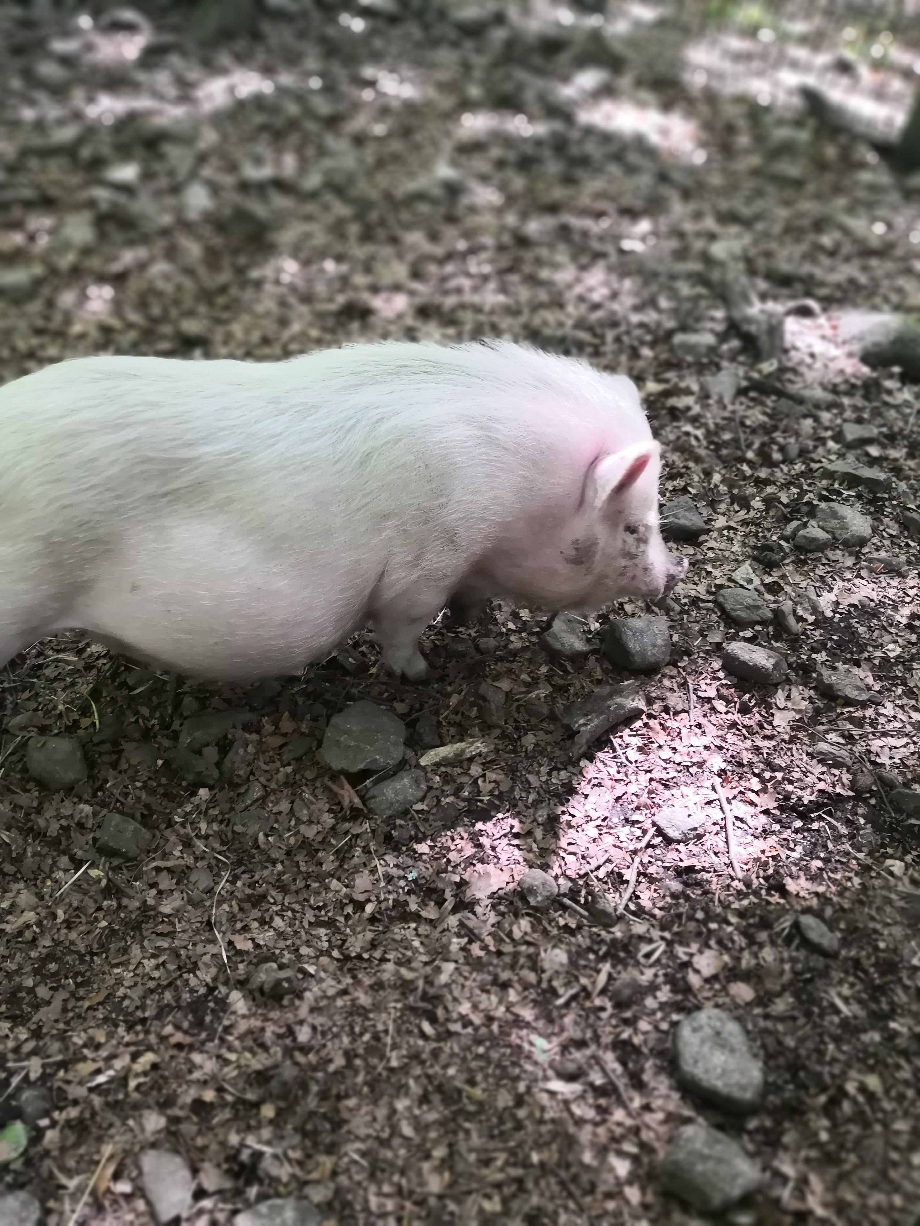 Photo n° 4 de l'avis de Denis.a fait le 08/06/2019 à 09:49