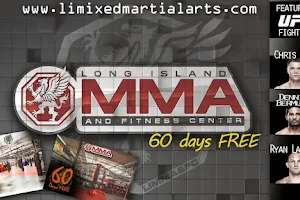 Long Island MMA and Fitness Center image