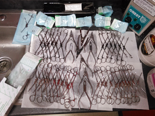 Ear Piercing Service «Ink Addiction», reviews and photos, 11607 Telegraph Rd, Taylor, MI 48180, USA