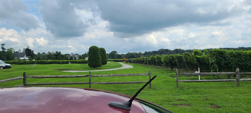 Winery «White Horse Winery», reviews and photos, 106 Hall St, Hammonton, NJ 08037, USA