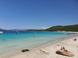Photo de Plage Mare E Sole situé dans une zone naturelle