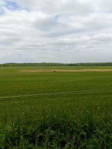 Vineyard «Baiting Hollow Farm Vineyard», reviews and photos, 2114 Sound Ave, Calverton, NY 11933, USA