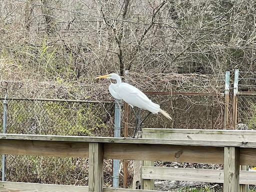 Aquarium «Cold Spring Harbor Fish Hatchery & Aquarium», reviews and photos, 1660 NY-25A, Cold Spring Harbor, NY 11724, USA