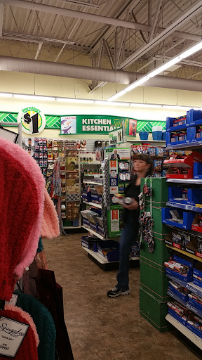 Dollar Store «Dollar Tree», reviews and photos, 1243 E Higgins Rd, Schaumburg, IL 60173, USA