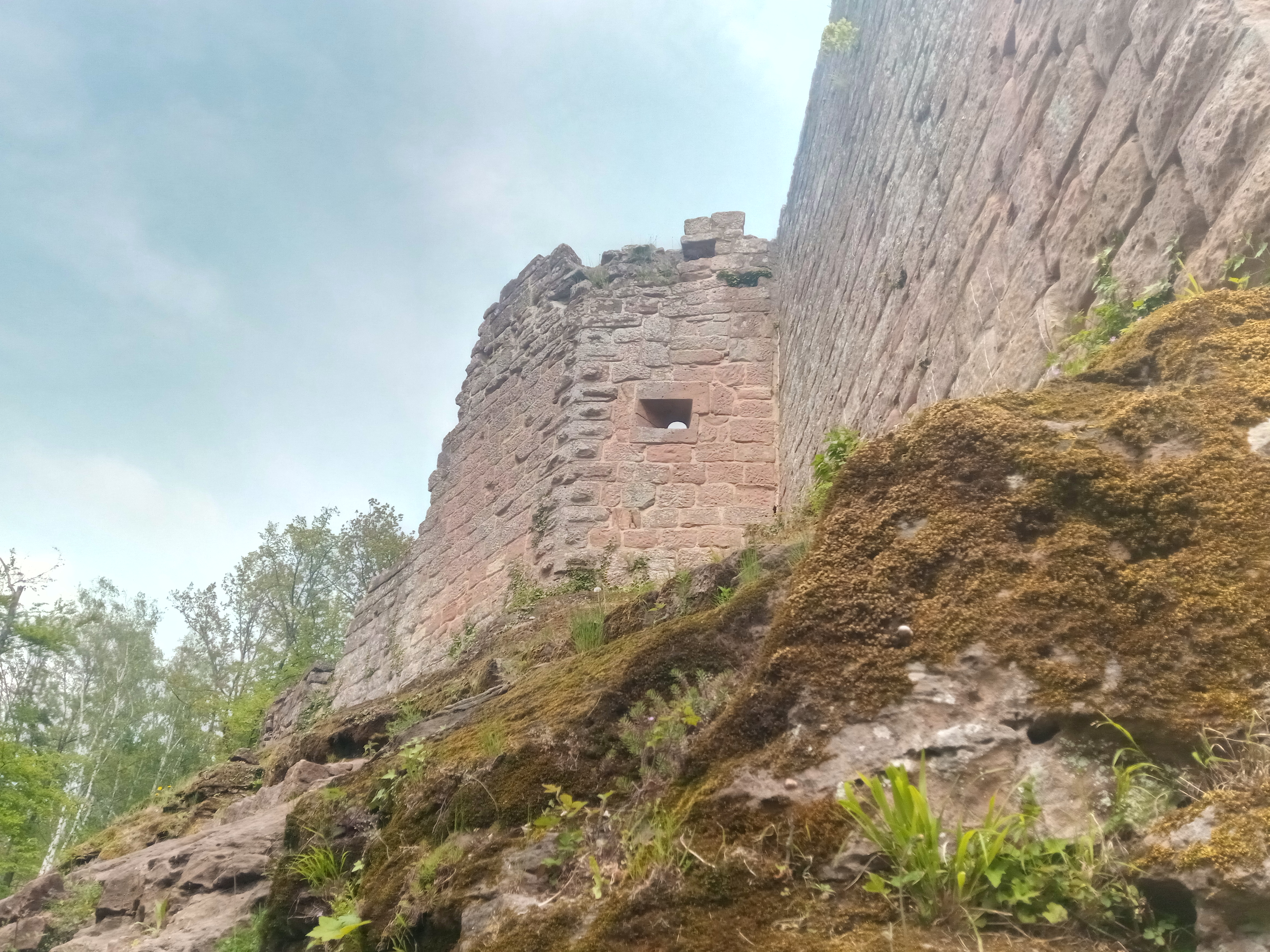 Photo n° 3 de l'avis de Ives.e fait le 03/05/2019 à 12:37