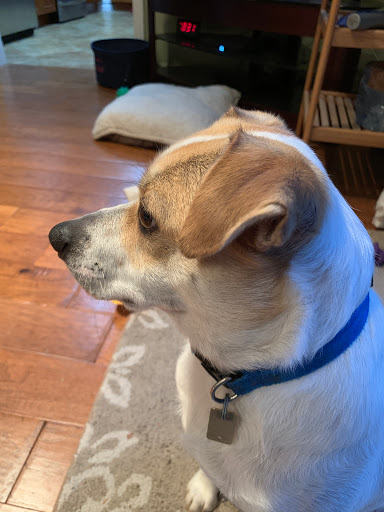 125 Leonardville Rd, Belford, NJ 07718, USA