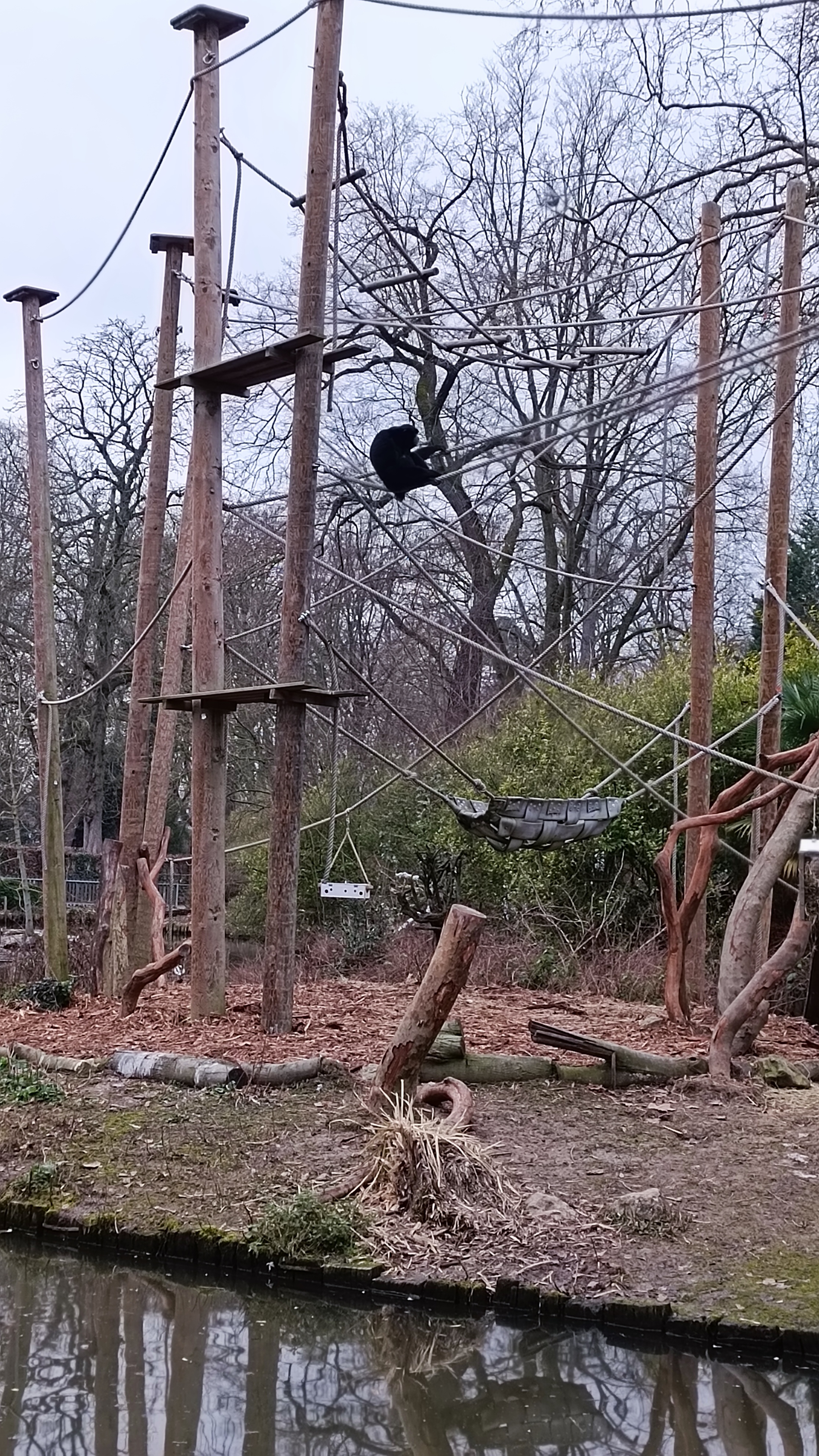 Photo n° 9 de l'avis de Mike.O fait le 25/02/2023 à 09:51