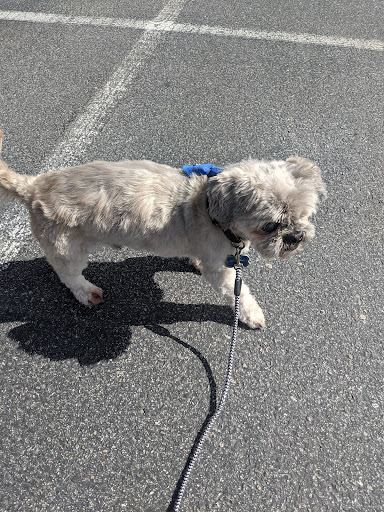 Pet Supply Store «Petco Animal Supplies», reviews and photos, 2210 N Eagle Rd, Meridian, ID 83646, USA