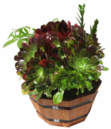 Florist «Avalon Flowers», reviews and photos, 1257 N Avalon Blvd, Wilmington, CA 90744, USA