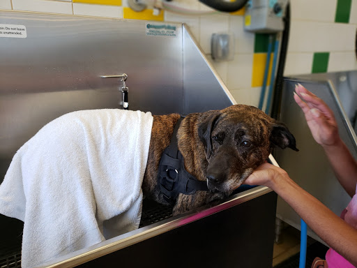 Pet Supply Store «Pet Supplies Plus», reviews and photos, 2155 Delaware Ave, Buffalo, NY 14216, USA