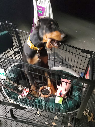 Pet Supply Store «Pet Supplies Plus», reviews and photos, 1411 S Stockton St, Lodi, CA 95240, USA