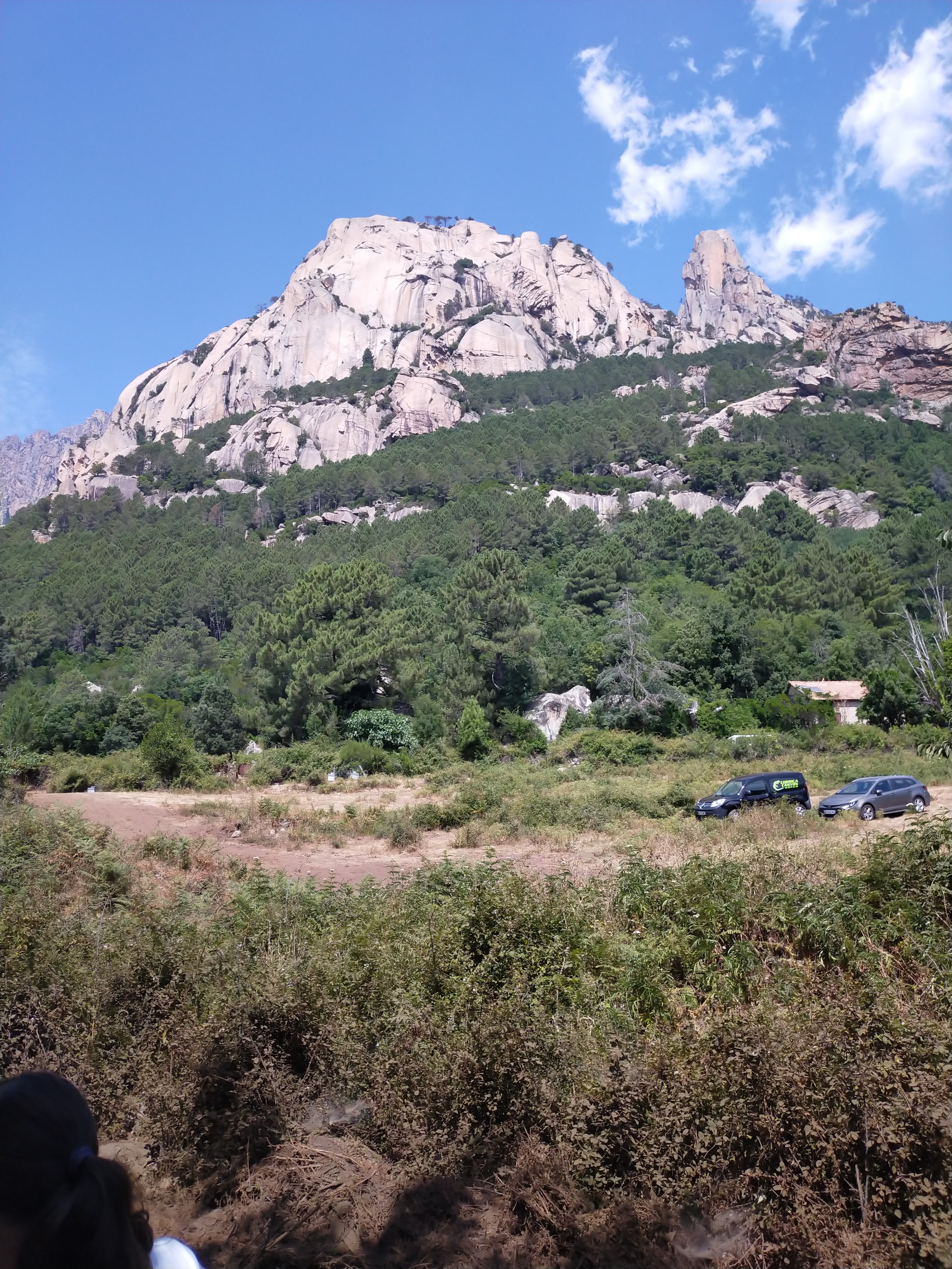 Photo n° 2 de l'avis de thomasset.e fait le 07/07/2022 à 10:47