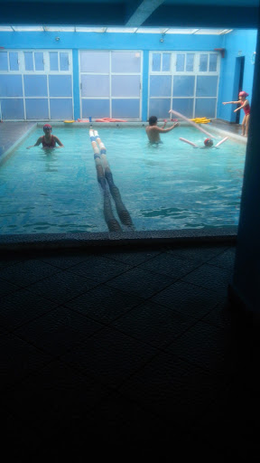 Escuela De Natacion El Delfin