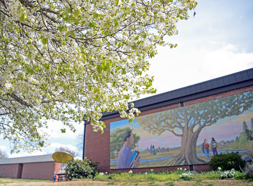 Community College «Durham Technical Community College», reviews and photos