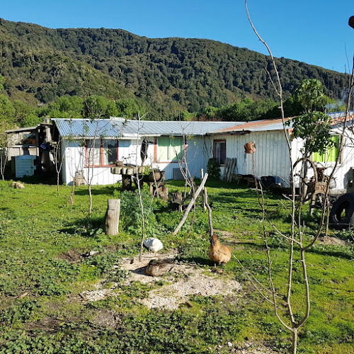 Comentarios y opiniones de camping y hospedaje familiar las bandurrias