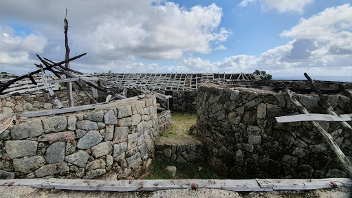 Citânia de Sanfins