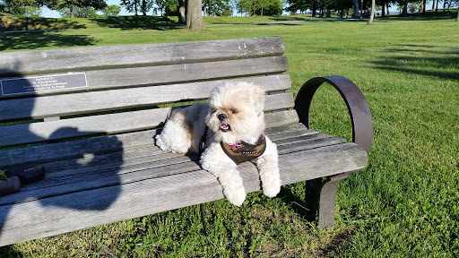 Nature Preserve «Cove Island Wildlife Sanctuary», reviews and photos, 1125 Cove Rd, Stamford, CT 06902, USA