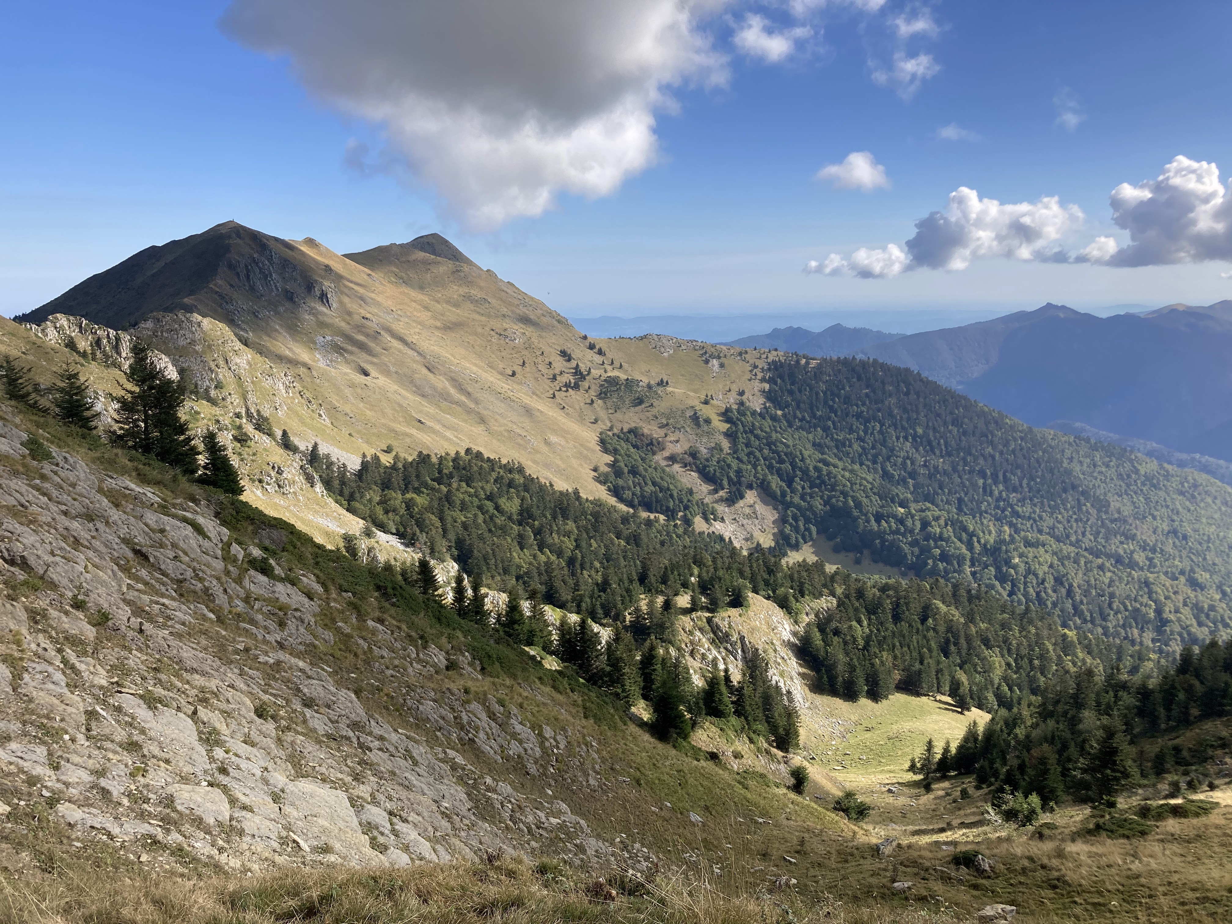 Photo n° 2 de l'avis de Elise. fait le 11/09/2020 à 15:08