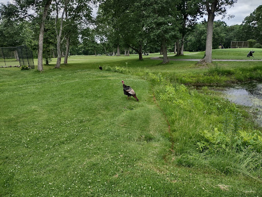 Country Club «Wayland Country Club», reviews and photos, 121 Old Sudbury Rd, Wayland, MA 01778, USA